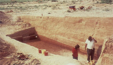 mungo excavation